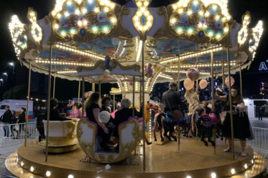 Atrakcje Wiktoriańska Karuzela Galeria - karuzela wiktoriańska