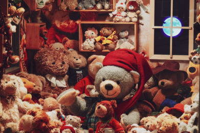 OLYMPUS DIGITAL CAMERA OLYMPUS DIGITAL CAMERA