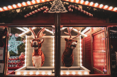 OLYMPUS DIGITAL CAMERA OLYMPUS DIGITAL CAMERA